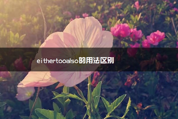 eithertooalso的用法区别