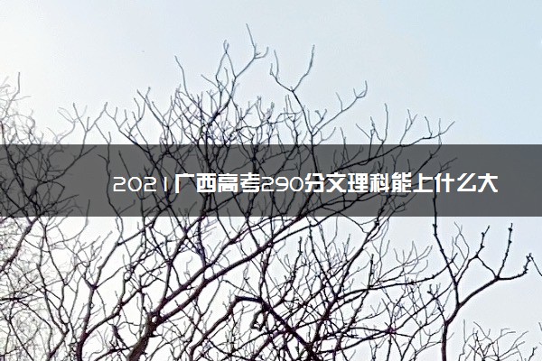 2021广西高考290分文理科能上什么大学