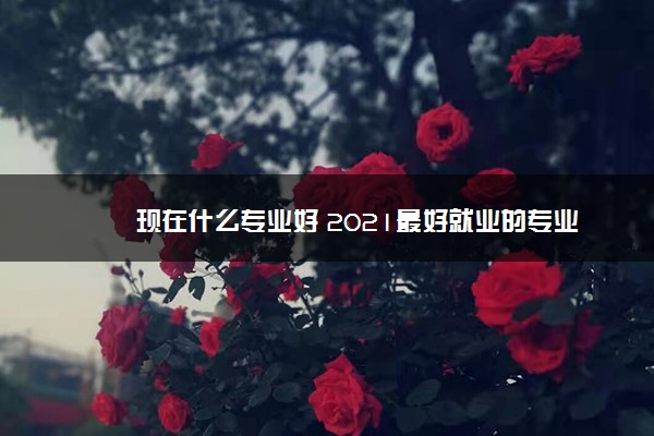 现在什么专业好 2021最好就业的专业