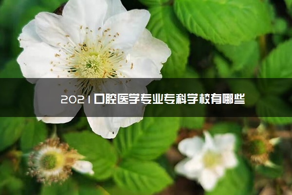 2021口腔医学专业专科学校有哪些