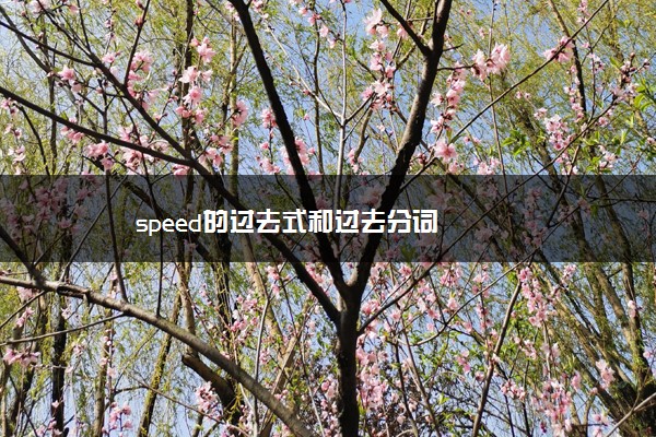 speed的过去式和过去分词