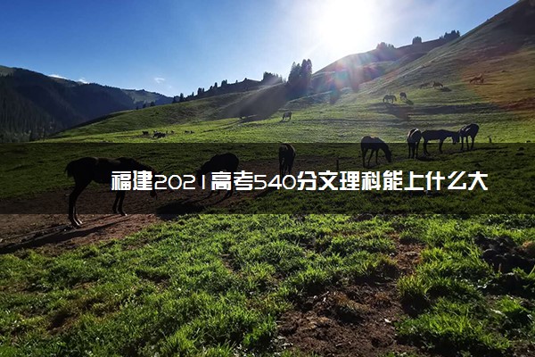 福建2021高考540分文理科能上什么大学