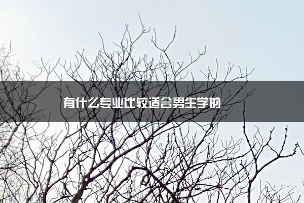 有什么专业比较适合男生学的