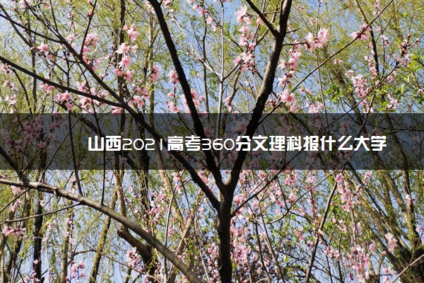 山西2021高考360分文理科报什么大学好