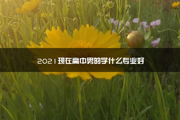 2021现在高中男的学什么专业好