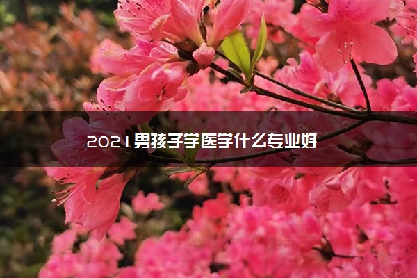 2021男孩子学医学什么专业好