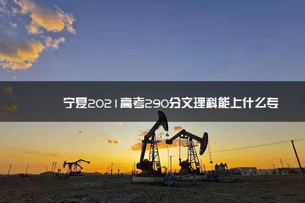 宁夏2021高考290分文理科能上什么专科