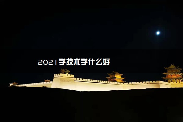 2021学技术学什么好