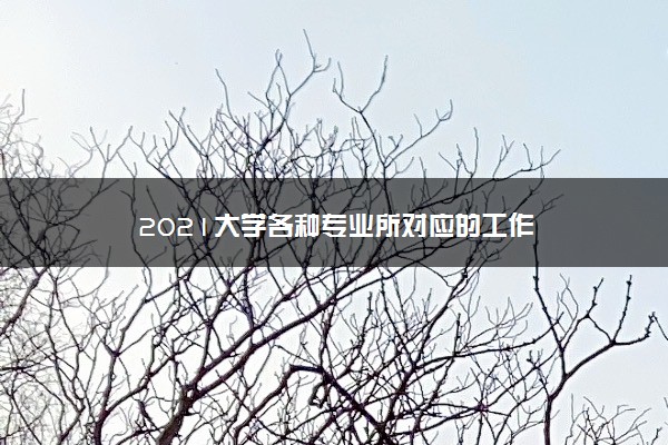 2021大学各种专业所对应的工作