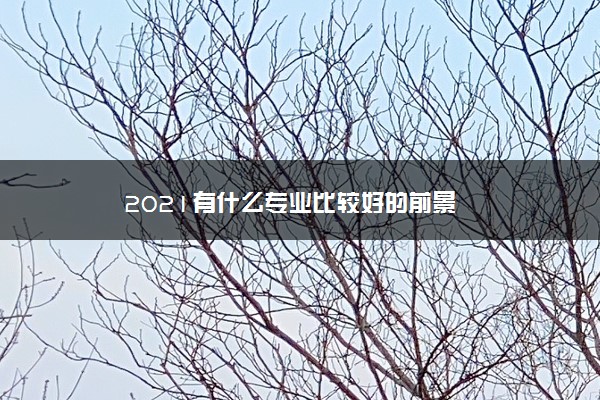 2021有什么专业比较好的前景