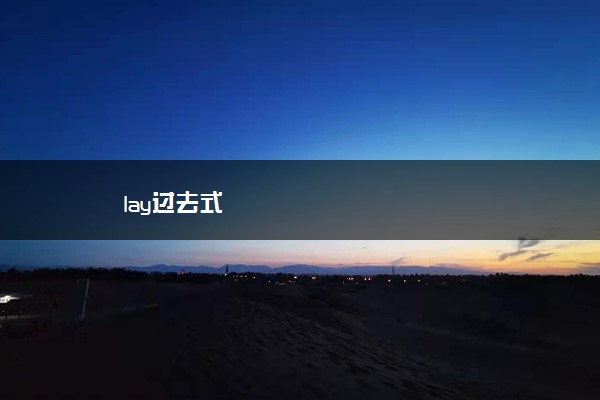 lay过去式