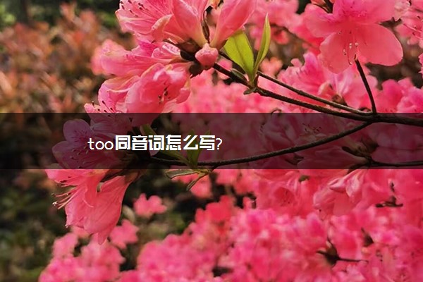 too同音词怎么写?