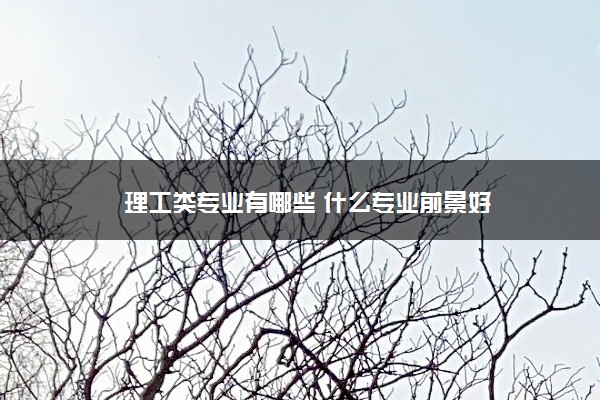 理工類專業有哪些 什么專業前景好