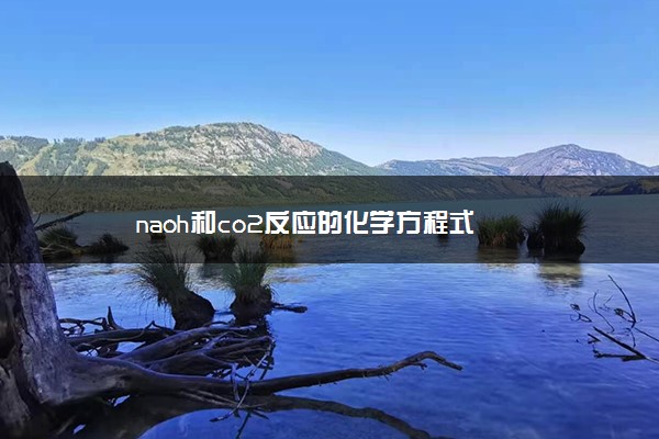 naoh和co2反应的化学方程式