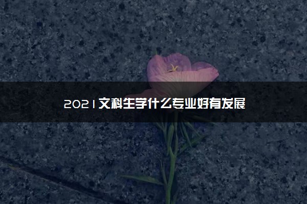 2021文科生学什么专业好有发展