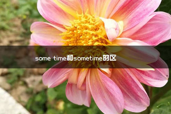 some time和sometime的区别