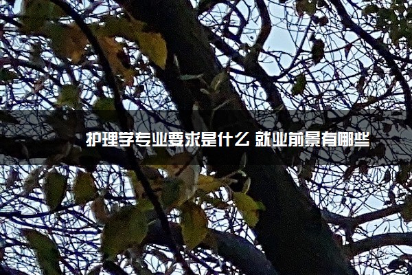 护理学专业要求是什么 就业前景有哪些