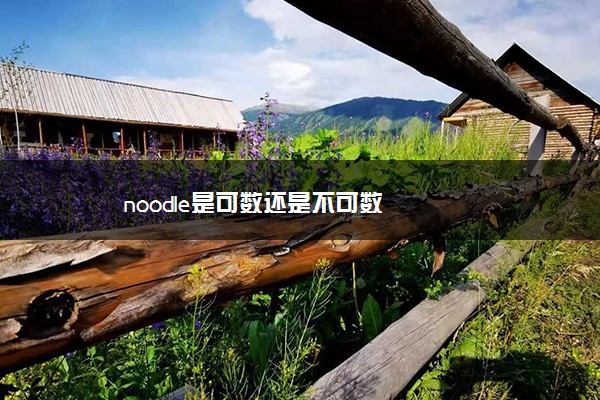 noodle是可数还是不可数