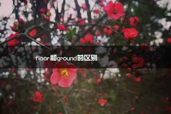 floor和ground的区别