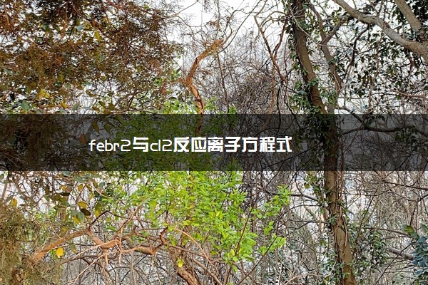 febr2与cl2反应离子方程式