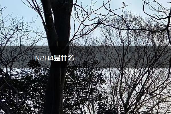 N2H4是什么