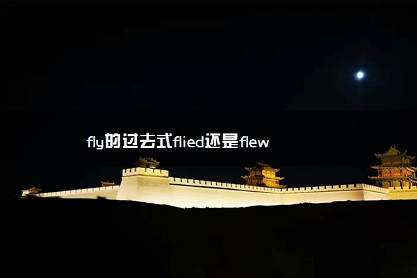 fly的过去式flied还是flew