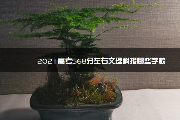 2021高考568分左右文理科报哪些学校好