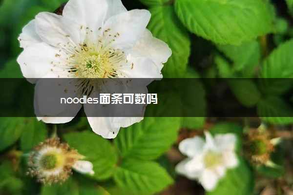 noodles面条可数吗