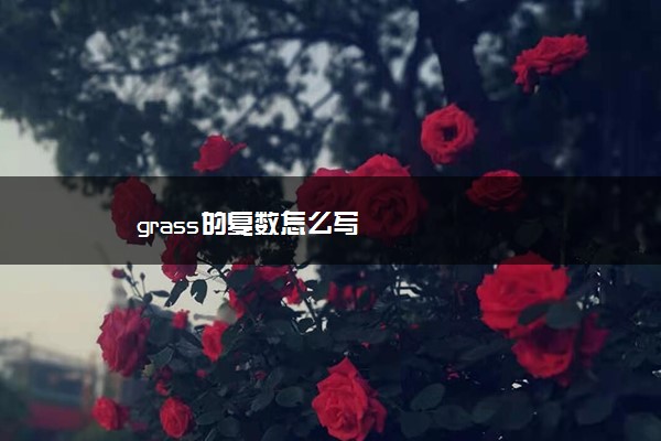 grass的复数怎么写