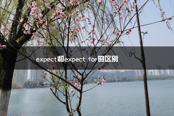 expect和expect for的区别