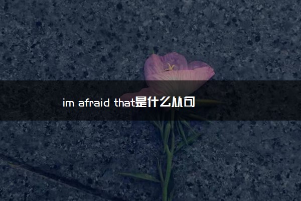 im afraid that是什么从句