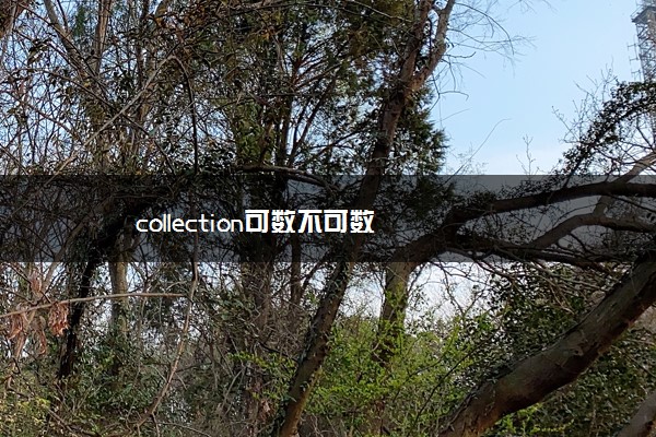 collection可数不可数