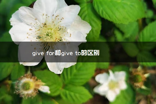 give for和give to的区别