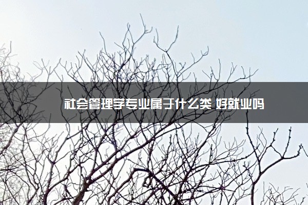 社会管理学专业属于什么类 好就业吗