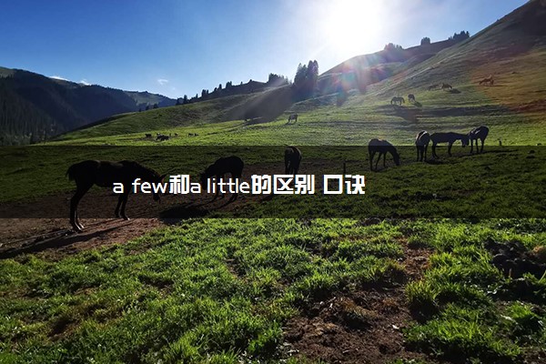 a few和a little的区别 口诀