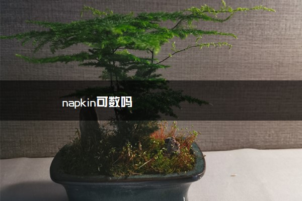 napkin可数吗