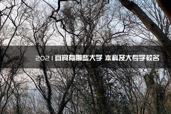 2021宜宾有哪些大学 本科及大专学校名单