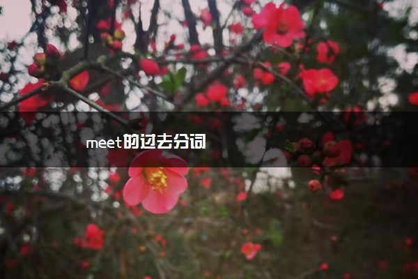 meet的过去分词