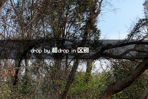 drop by 和drop in 区别