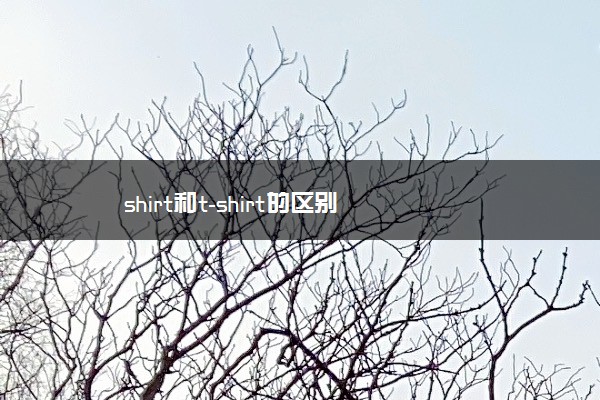 shirt和t-shirt的区别