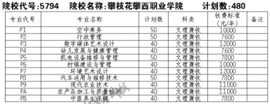 2021攀枝花攀西职业学院单招专业及招生计划