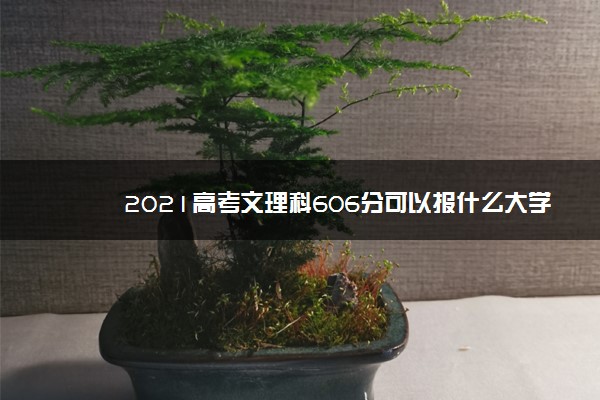 2021高考文理科606分可以报什么大学