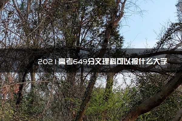 2021高考649分文理科可以报什么大学