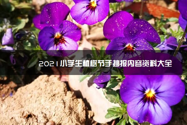 2021小学生植树节手抄报内容资料大全