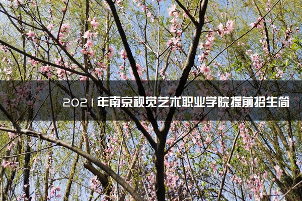 2021年南京视觉艺术职业学院提前招生简章