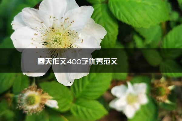 春天作文400字优秀范文