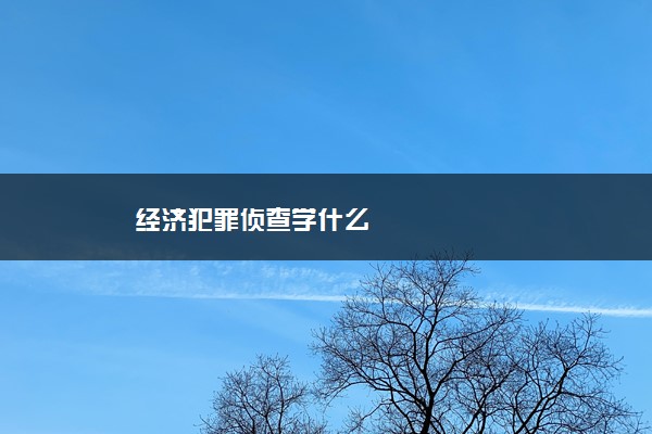 经济犯罪侦查学什么