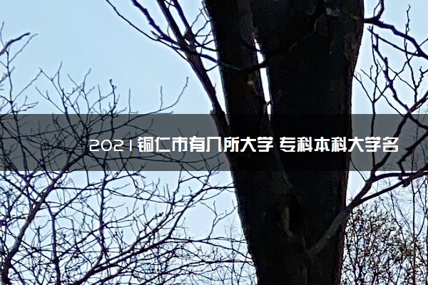 2021铜仁市有几所大学 专科本科大学名单