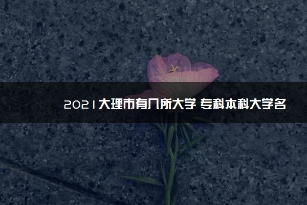 2021大理市有几所大学 专科本科大学名单