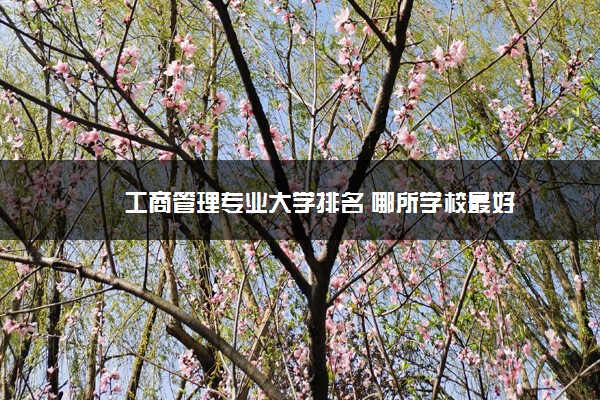 工商管理专业大学排名 哪所学校最好